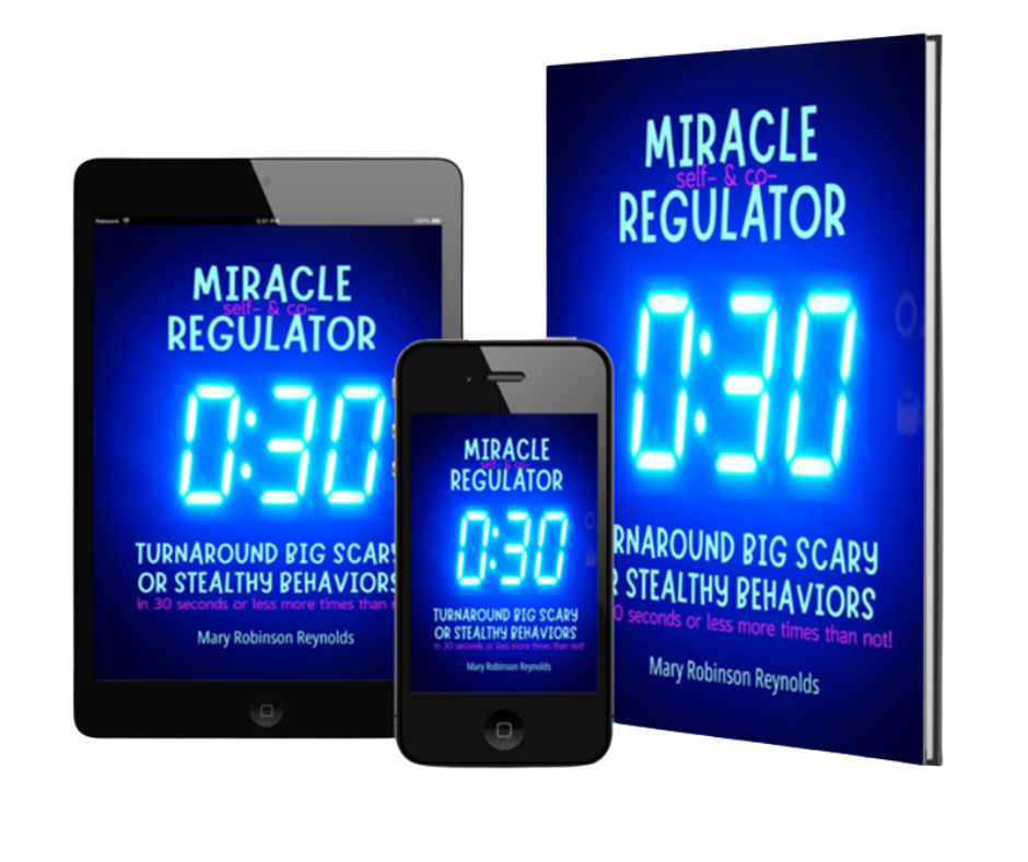 Promotional image showing the book 'Miracle Regulator' with a glowing blue 0:30 timer on a tablet, phone, and a book cover side by side.